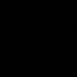 Meet your Posher, Phoebe